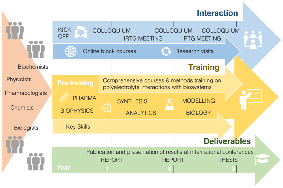 Curriculum