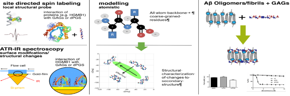 Left: Spectroscopic approach. Middle: Modelling efforts. Right: Elucidation of the interaction.