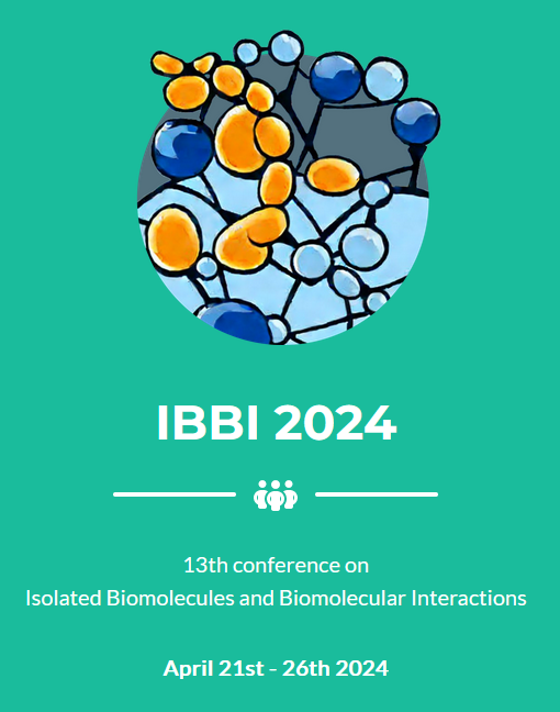 2024-04 IBBI